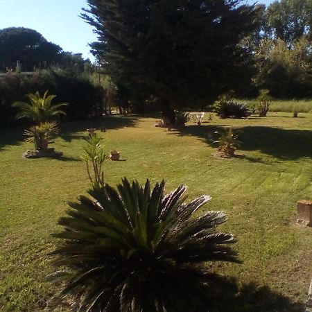 Mamena Bed & Breakfast Paestum Exterior foto