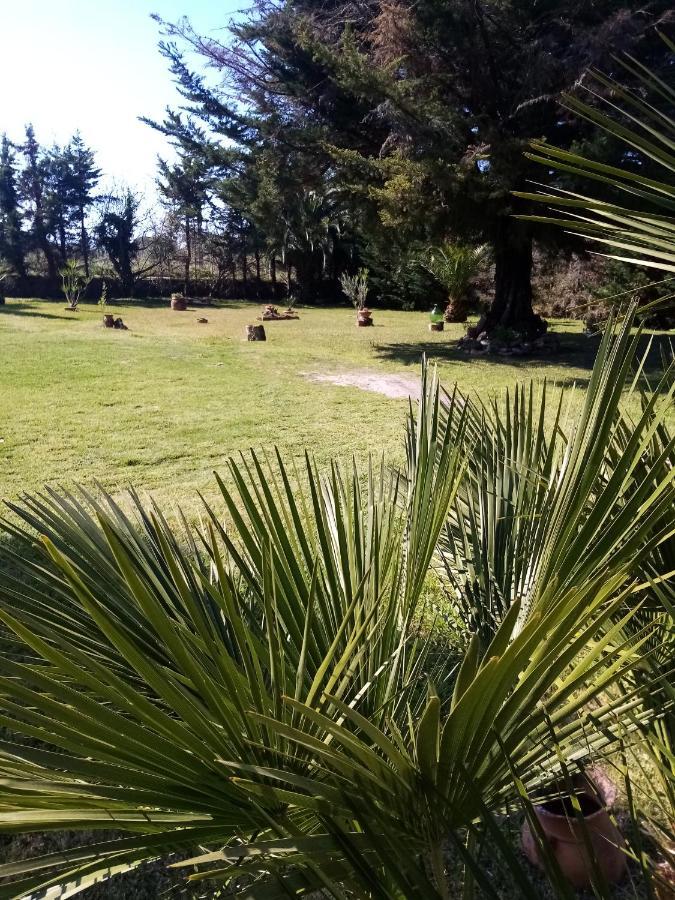 Mamena Bed & Breakfast Paestum Exterior foto