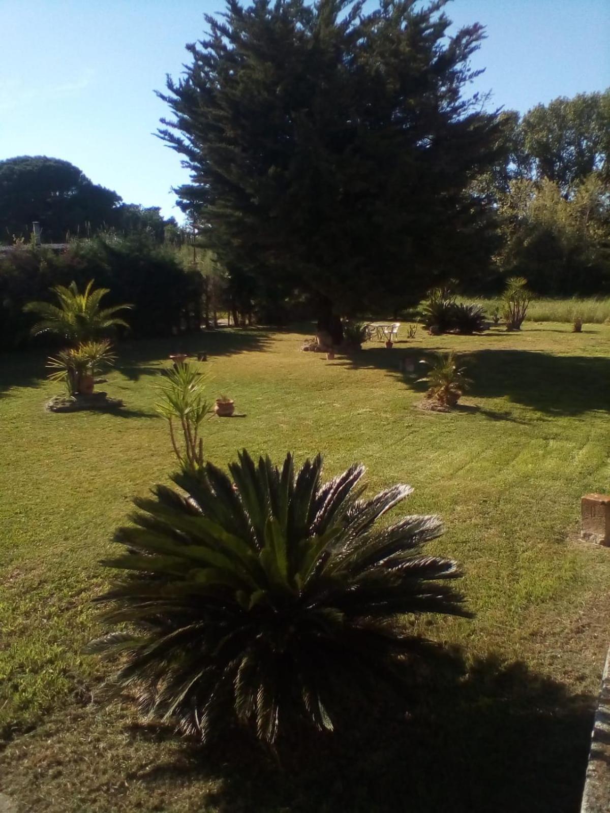 Mamena Bed & Breakfast Paestum Exterior foto